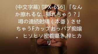 (中文字幕) [IPX-656] 「なんか擦れるな…挿れちゃう？」 噂の連続射精（本番）させちゃうFカップおっパブ痴嬢。 ヒソヒソ密着囁き 梓ヒカリ