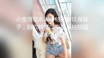 小宝寻花丰满身材花臂纹身妹子，掰穴特写口交后入抽插猛操呻吟娇喘