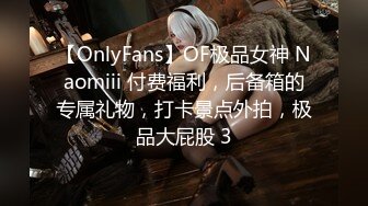 【OnlyFans】OF极品女神 Naomiii 付费福利，后备箱的专属礼物，打卡景点外拍，极品大屁股 3