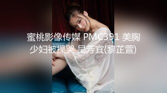 蜜桃影像传媒 PMC391 美胸少妇被操哭 吴芳宜(黎芷萱)