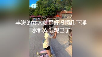 丰满的女人就是好没插几下淫水都弄湿鸡巴了