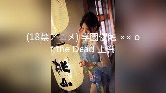 (18禁アニメ) 学園侵触 ×× of the Dead 上巻