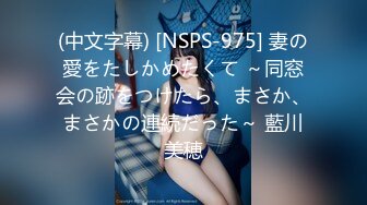 (中文字幕) [NSPS-975] 妻の愛をたしかめたくて ～同窓会の跡をつけたら、まさか、まさかの連続だった～ 藍川美穂