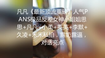 凡凡《最新顶流重磅》人气PANS极品反差女神小姐姐思思+凡凡+小柔+英英+李默+久凌+禾禾私拍，露奶露逼，对话亮点